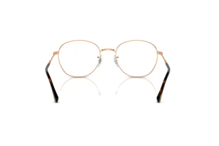 Achteraanzicht Ray-Ban RX6509 (3094)