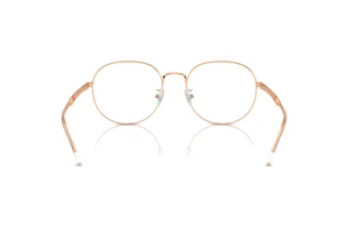 Achteraanzicht Ray-Ban RX6517D (3094)