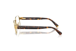 Zijaanzicht Ray-Ban RX6529 (2500)