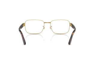 Achteraanzicht Ray-Ban RX6529 (2500)