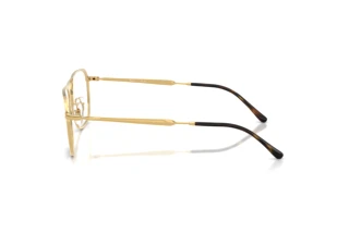 Zijaanzicht Ray-Ban RX6548 (2500)