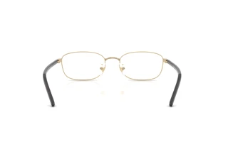 Achteraanzicht Ray-Ban RX6551D (2993)