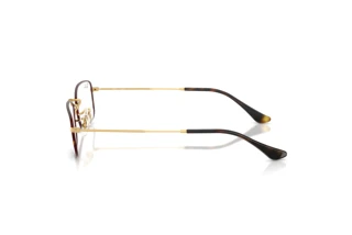 Zijaanzicht Ray-Ban RX6647 (3177)
