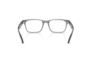 Achteraanzicht Ray-Ban RX7025 (8475)