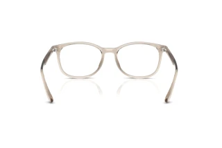 Achteraanzicht Ray-Ban RX7093D (8271)