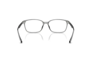Achteraanzicht Ray-Ban RX7094D (8012)