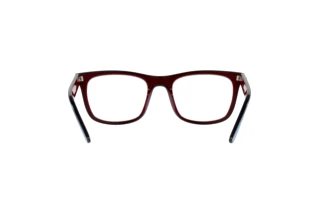 Achteraanzicht Ray-Ban RX7209 (8213)