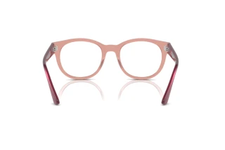 Achteraanzicht Ray-Ban RX7227 (8314)