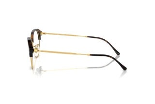 Zijaanzicht Ray-Ban RX7229 (2012)