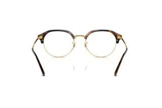 Achteraanzicht Ray-Ban RX7229 (2012)
