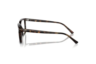 Zijaanzicht Ray-Ban ALAIN (RX7239 - 2012)