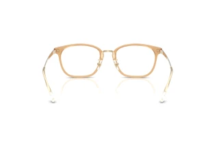 Achteraanzicht Ray-Ban RX7247D (8473)