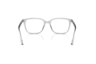 Achteraanzicht Ray-Ban RX7248D (8411)