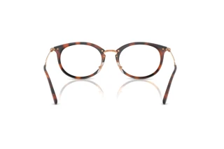 Achteraanzicht Ray-Ban RX7255 (5687)