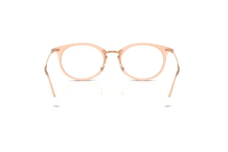 Achteraanzicht Ray-Ban RX7255 (8124)