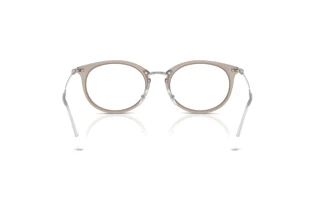 Achteraanzicht Ray-Ban RX7255 (8125)