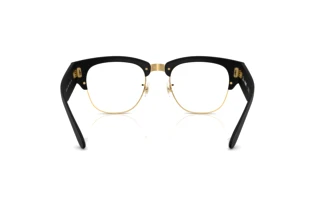 Achteraanzicht Ray-Ban RX7316V (5204)