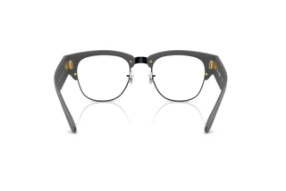 Achteraanzicht Ray-Ban RX7316V (5521)
