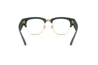 Achteraanzicht Ray-Ban RX7316V (8062)