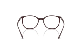 Achteraanzicht Ray-Ban RX7397 (8088)