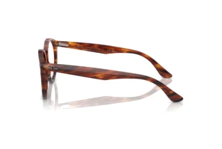 Zijaanzicht Ray-Ban LARRY (RX7680V - 2144)