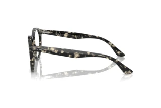 Zijaanzicht Ray-Ban LARRY (RX7680V - 8117)