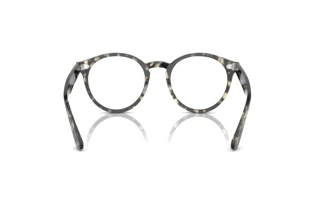 Achteraanzicht Ray-Ban LARRY (RX7680V - 8117)
