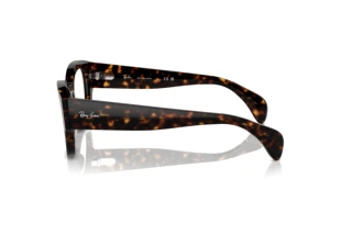 Zijaanzicht Ray-Ban JORGE (RX7681V - 2012)
