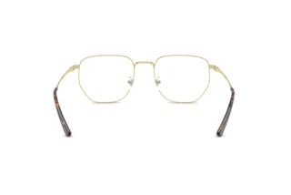 Achteraanzicht Ray-Ban RX8776D (1251)