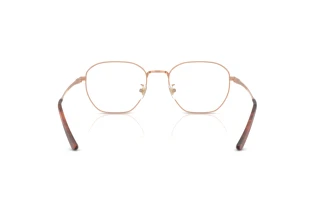 Achteraanzicht Ray-Ban RX8777D (1245)