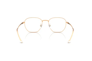 Achteraanzicht Ray-Ban RX8777D (1248)