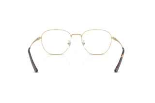 Achteraanzicht Ray-Ban RX8777D (1251)