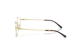 Zijaanzicht Ray-Ban RX8784D (1251)