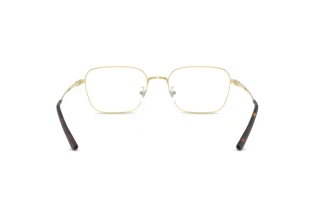 Achteraanzicht Ray-Ban RX8784D (1251)