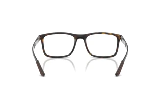 Achteraanzicht Ray-Ban RX8908 (5200)