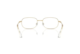 Achteraanzicht Swarovski SK1005 (4013)