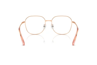 Achteraanzicht Swarovski SK1009D (4014)