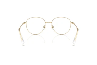 Achteraanzicht Swarovski SK1016D (4013)