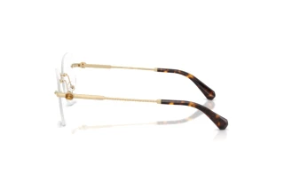 Zijaanzicht Swarovski SK1021 (4013)
