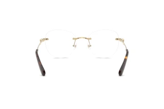 Achteraanzicht Swarovski SK1021 (4013)