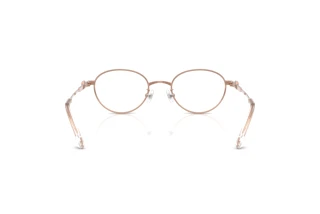 Achteraanzicht Swarovski SK1028TD (4014)
