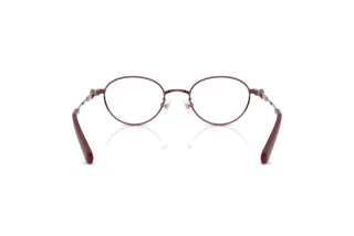 Achteraanzicht Swarovski SK1028TD (4040)