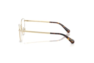 Zijaanzicht Swarovski SK1029D (4013)