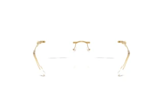 Achteraanzicht Swarovski SK1031 (4004)