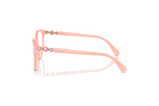 Zijaanzicht Swarovski SK2019 (1041)