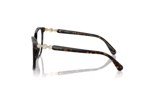 Zijaanzicht Swarovski SK2020 (1002)
