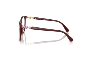 Zijaanzicht Swarovski SK2020 (1008)