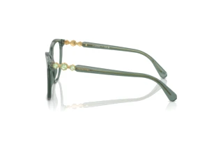 Zijaanzicht Swarovski SK2020 (1043)