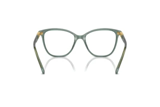 Achteraanzicht Swarovski SK2020 (1043)