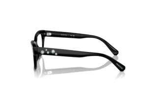 Zijaanzicht Swarovski SK2022 (1001)